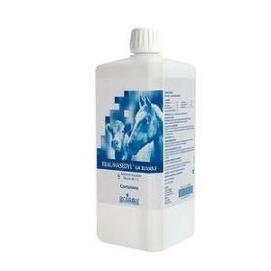 Traumasedyl GA BOIRON - Flacon 1 Litre