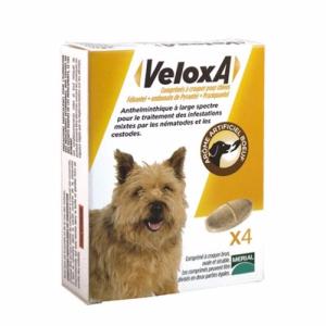 Veloxa Vermifuge Chien MERIAL